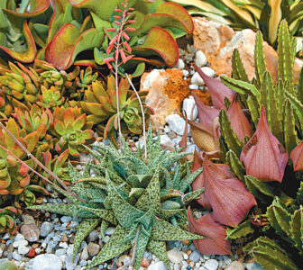 article image - 